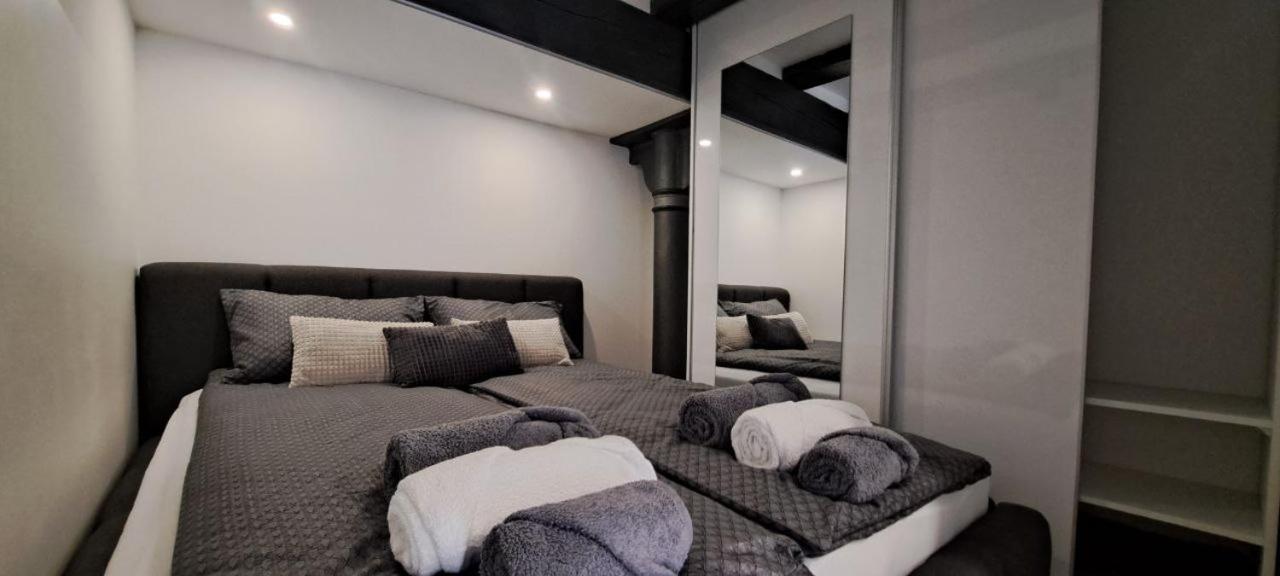Апартаменти Ljubljana Nest- Centre, Free Parking- Renovated August 2024 Екстер'єр фото